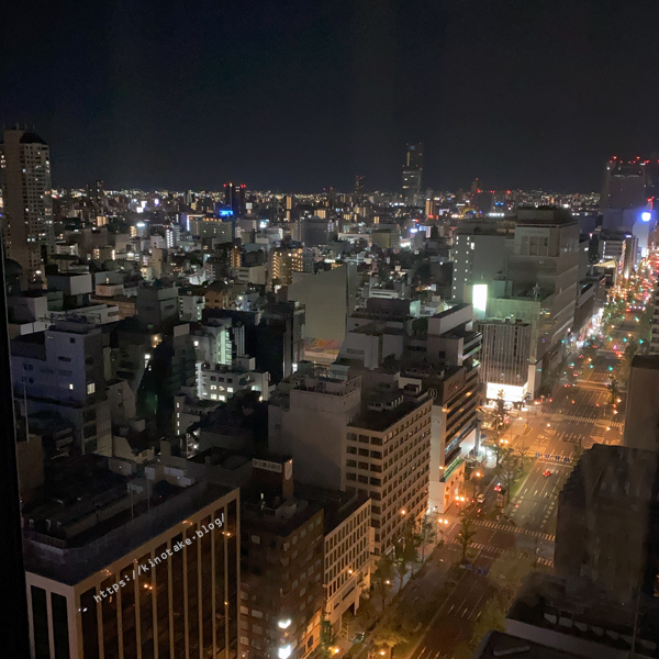 W大阪
客室からの夜景